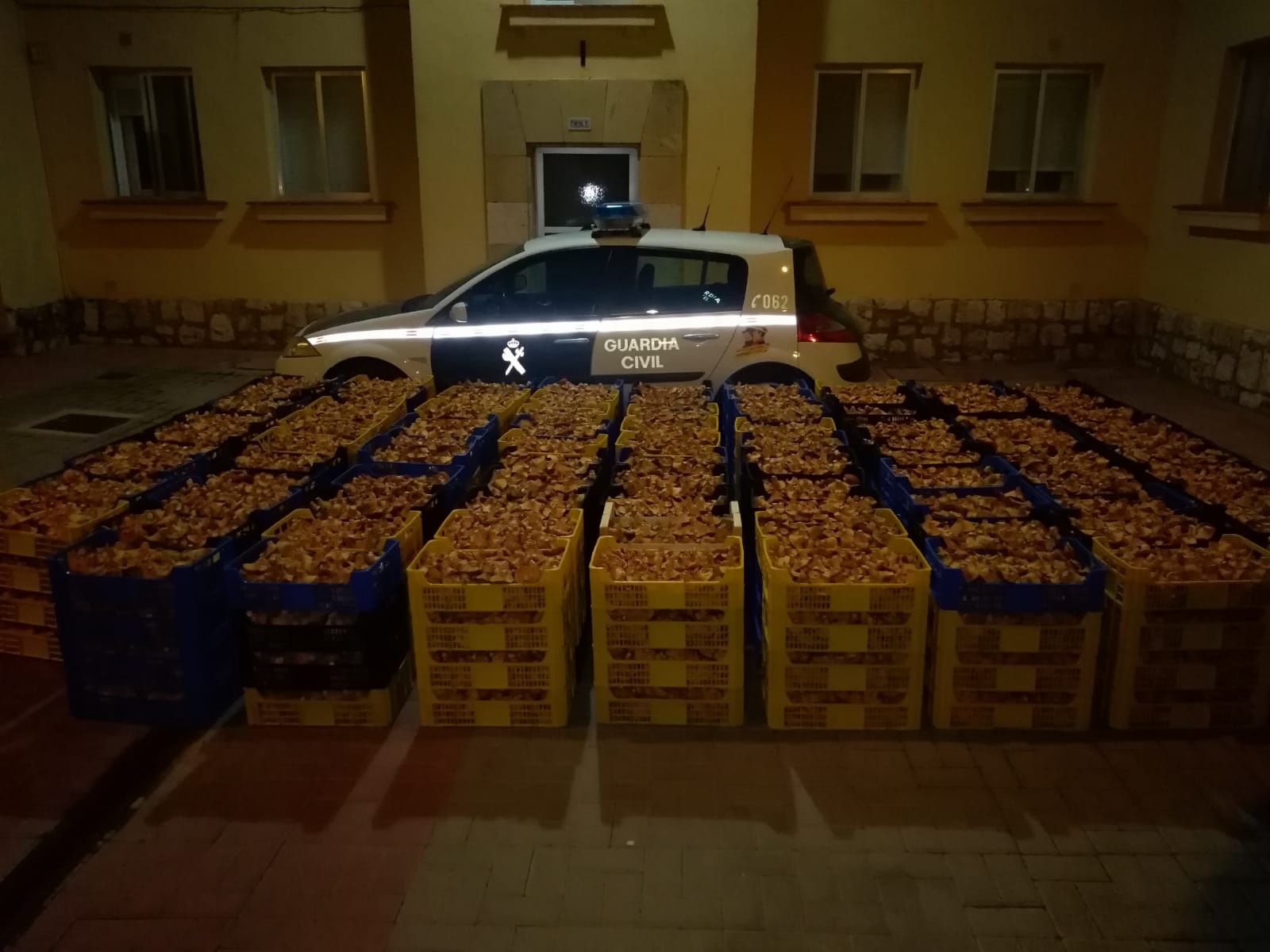 La Guardia Civil decomisa cerca de dos toneladas de níscalos en Torre del Burgo 3 La Guardia Civil decomisa cerca de dos toneladas de níscalos en Torre del Burgo