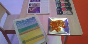 Lavanda, cultura e historia cincelada en piedra, los atractivos de Brihuega en INTUR 2019