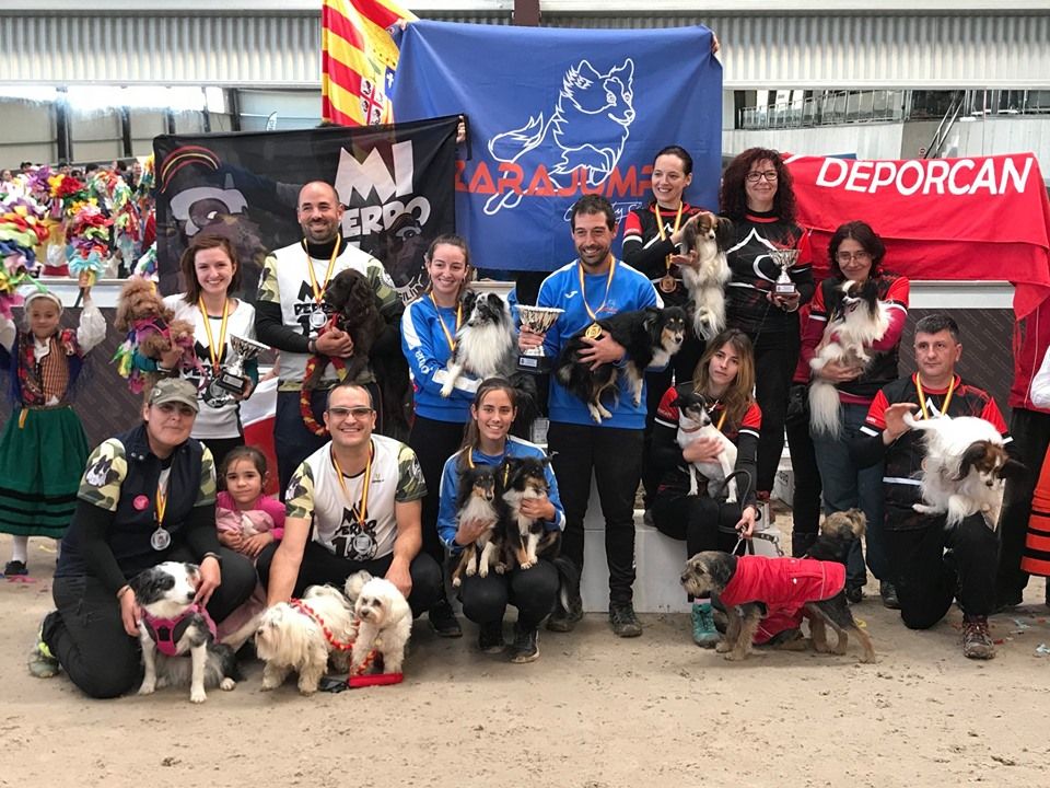 Nuevo récord de participación en la sexta edición del Campeonato de España de Agility 3 Nuevo récord de participación en la sexta edición del Campeonato de España de Agility