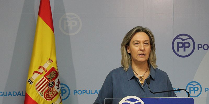 Guarinos afirma que Page “margina y humilla” a Guadalajara en los presupuestos de 2020 mientras establece privilegios y sueldos vitalicios para sus altos cargos