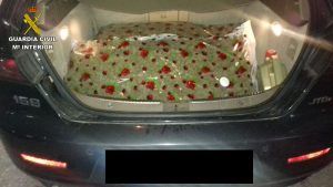 La Guardia Civil detiene en Tébar a una persona con 14.300 gramos de marihuana