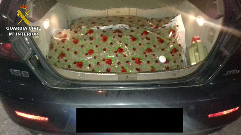La Guardia Civil detiene en Tébar a una persona con 14.300 gramos de marihuana