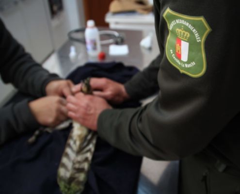 Los agentes medioambientales de Castilla-La Mancha muestran su preocupación por el desmantelamiento de Albaladejito