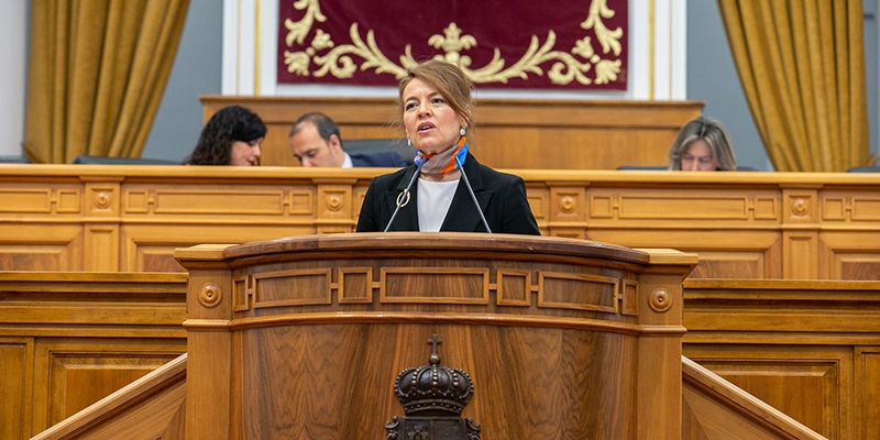 El Gobierno de Castilla-La Mancha cumple con su compromiso de ordenar, definir y apoyar a las entidades sociales con la Ley del Tercer Sector Social