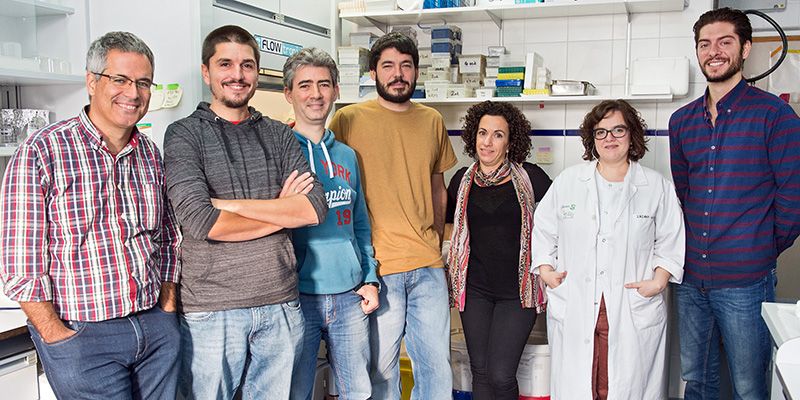 El Hospital Nacional de Parapléjicos y Universidad de Valladolid desarrollarán tecnología basada en biomateriales para la lesión medular