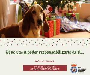tenenciaresponsable1