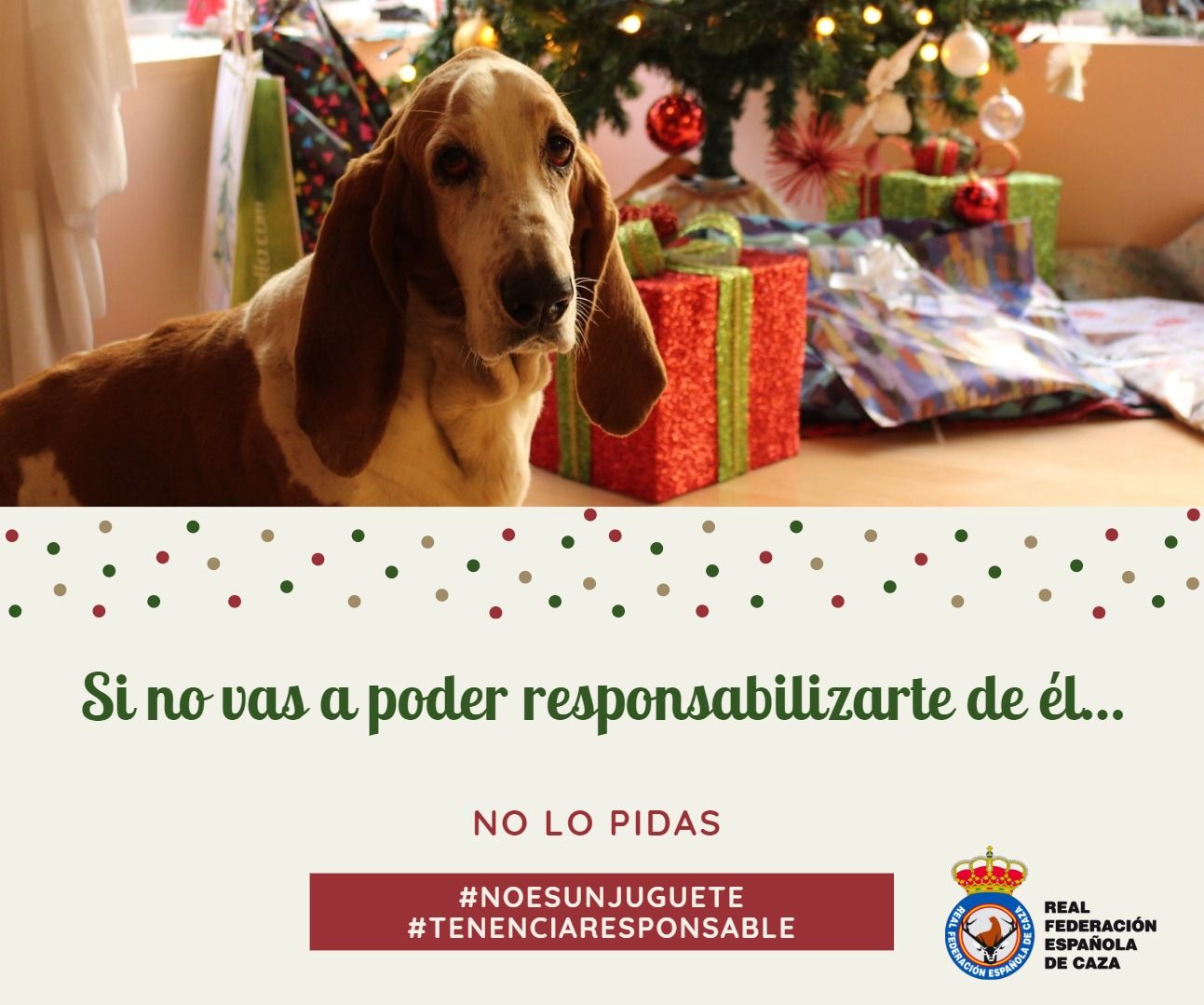 Campaña navideña de la Real Federación Española de Caza para fomentar la tenencia responsable de perros 3 Campaña navideña de la Real Federación Española de Caza para fomentar la tenencia responsable de perros