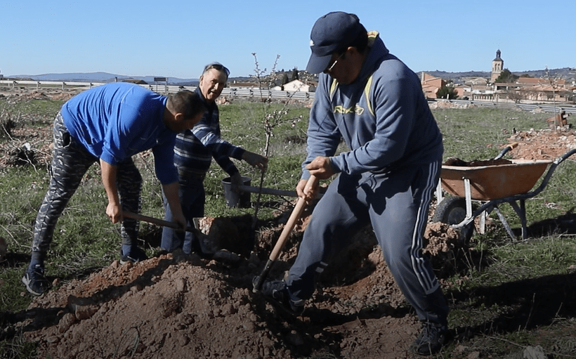 Alcocer planta 100 árboles en solo un fin de semana