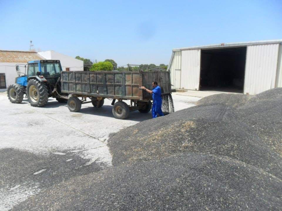 ASAJA denuncia que Agricultura dejará fuera a más de mil agricultores y ganaderos que solicitaron ayudas para modernizar sus explotaciones en Castilla-La Mancha