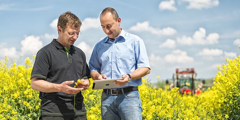 El nuevo enfoque de la estrategia de BASF impulsa un crecimiento del 25% de los proyectos de I+D de la compañía