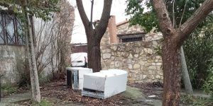 El PP de Alcolea del Pinar denuncia desatención en la limpieza de las vías públicas de la localidad