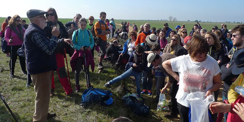 Más de 200 personas disfrutan de un sábado primaveral en El Cubillo de Uceda gracias a la iniciativa Campiñeando