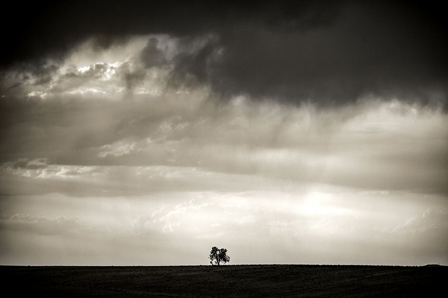 Nueva muestra de fotografías y poemas en la sala de exposiciones del Buero Vallejo