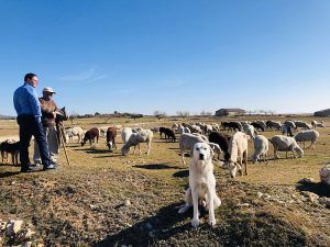 Prieto acude esta semana a Estrasburgo para “reclamar medidas activas y reales en la lucha contra la despoblación” 2 Prieto acude esta semana a Estrasburgo para “reclamar medidas activas y reales en la lucha contra la despoblación”