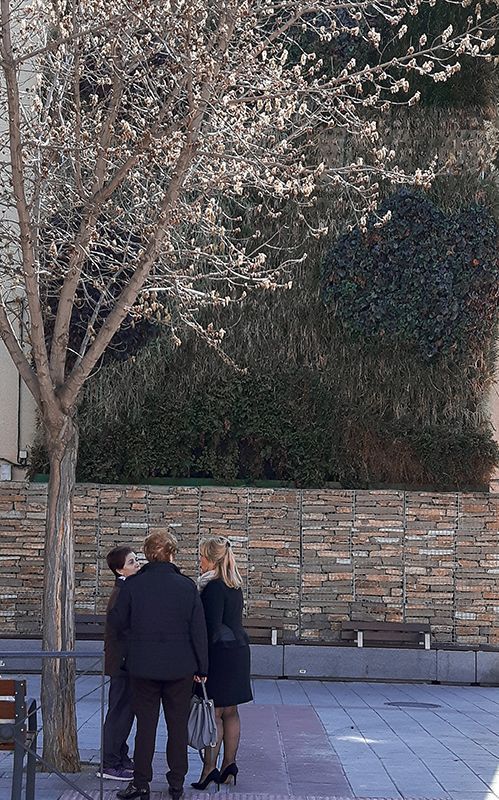 El PP denuncia las molestias a los vecinos y las deficiencias del ‘jardín vertical’ de Azuqueca