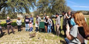 Liberado un nuevo ejemplar de lince ibérico en Villarejo de Montalbán