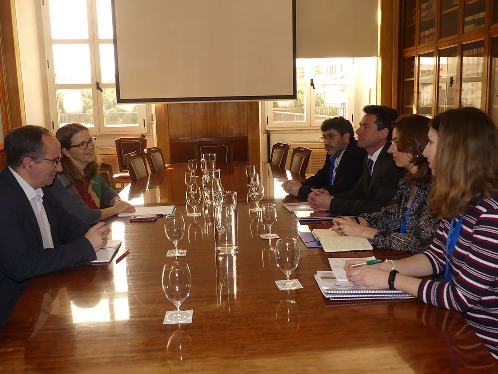 Despoblación. La Red SSPA desgrana sus medidas a la secretaria general para el Reto Demográfico