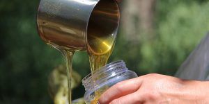 Unión de Uniones reclama al Ministerio medidas contra el fraude en el sector apícola