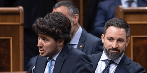 VOX pide al Gobierno que adopte medidas que sirvan para reconocer a la ‘Abeja ibérica’ o ’española’ como una raza propia