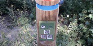 Alovera ofrece completada la señalización de sus rutas saludables como opción en el desconfinamiento