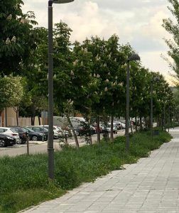 El PP de Azuqueca pedirá información sobre el servicio municipal de limpieza 2 El PP de Azuqueca pedirá información sobre el servicio municipal de limpieza