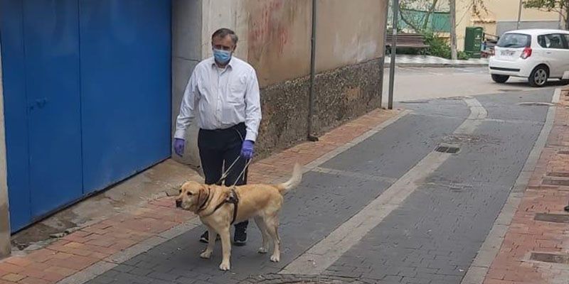 Más de 4 perros guía permiten a las personas ciegas de Cuenca seguir siendo autónomas durante el confinamiento