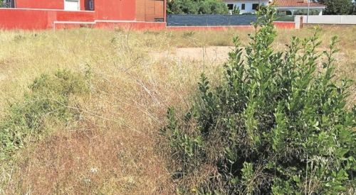 El Ayuntamiento de Cabanillas recuerda la obligación de desbrozar parcelas particulares