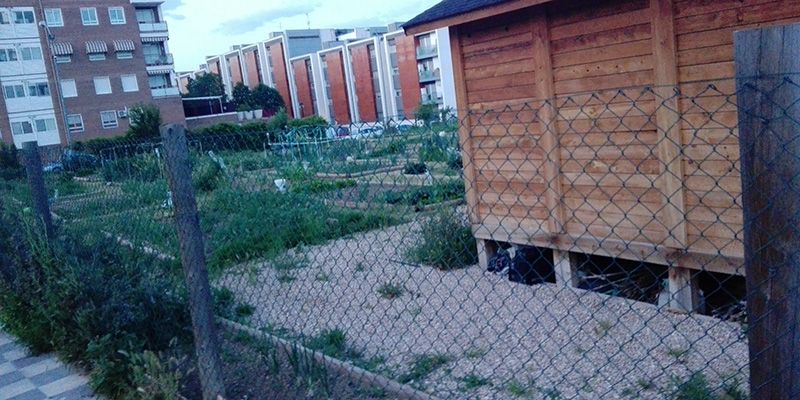 El Ayuntamiento de Cuenca reabre los huertos sociales con un protocolo de horarios para sus usuarios