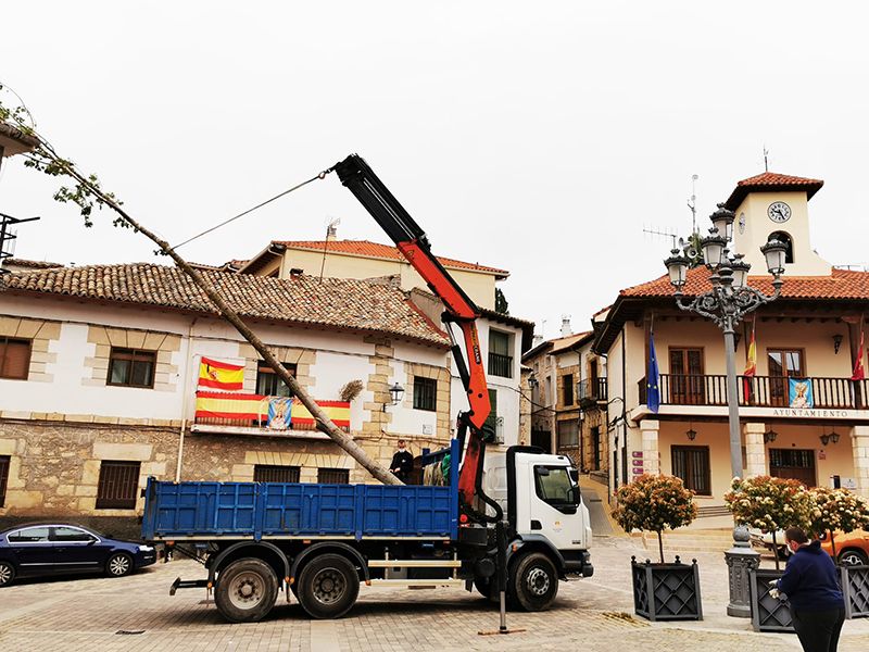 El Ayuntamiento de Trillo coloca el mayo como símbolo del mantenimiento de la tradición a pesar de la crisis del COVID-19