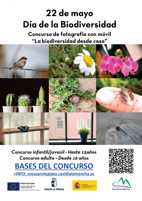El Gobierno regional lanza el concurso de fotografía con móvil ‘La biodiversidad desde casa’ para concienciar sobre la importancia de su conservación