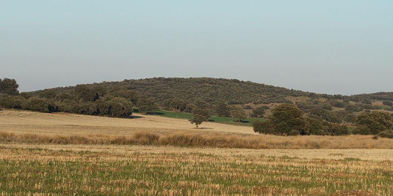 La caza pide una futura PAC más sostenible