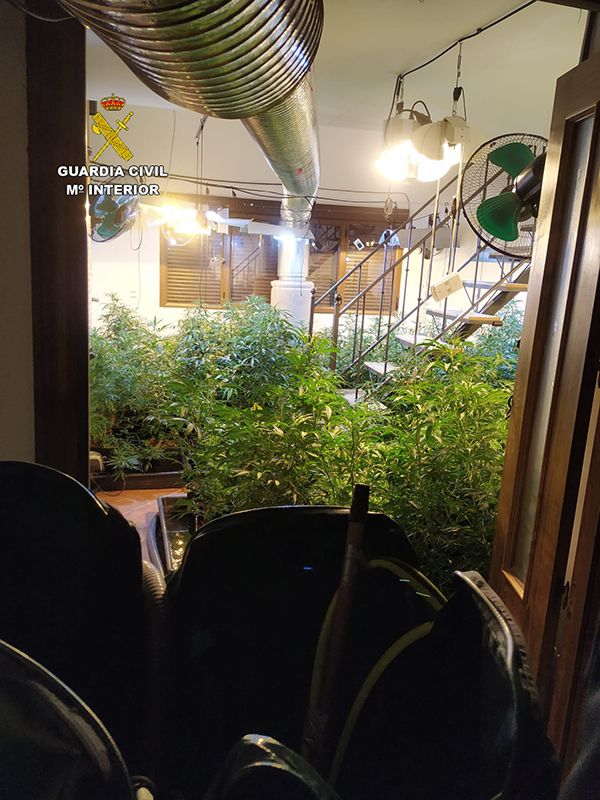 La Guardia Civil acude a un incendio y termina desmantelando una plantación de marihuana en la urbanización Las Fuentes de Fuentenovilla