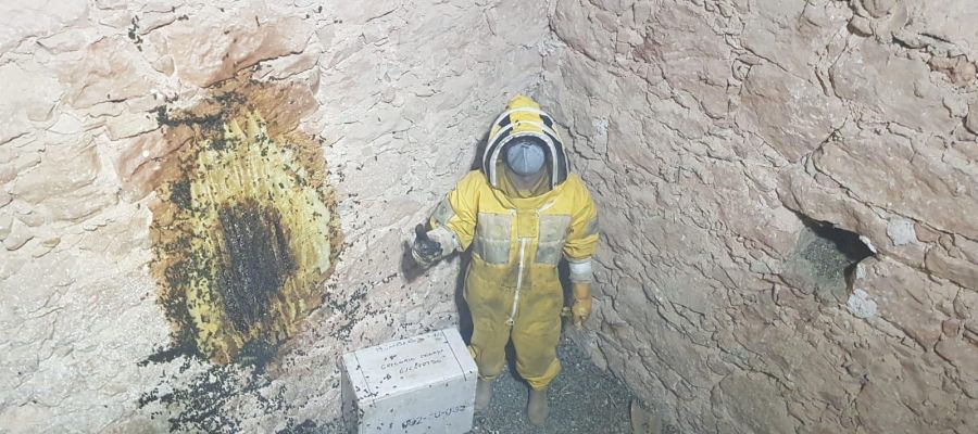 Los bomberos de Cuenca retiran un enjambre de 50.000 abejas de la iglesia de Villagarcía del Llano