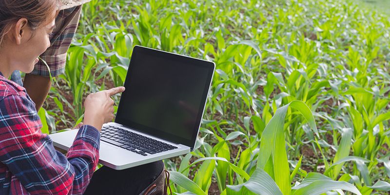 El Colegio de Ingeniero Agrónomos presenta 20 medidas agronómicas para la reconstrucción social y económica de España