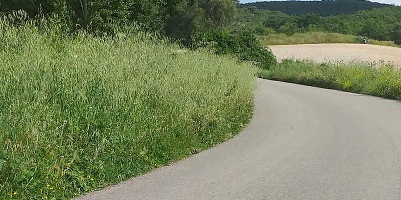 Arbancón denuncia el estado de abandono de las cunetas de la carretera Gu-143
