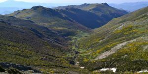 El Gobierno de Castilla-La Mancha organiza más de 50 actividades en los espacios naturales protegidos de la región de cara al verano 2 El Gobierno de Castilla-La Mancha organiza más de 50 actividades en los espacios naturales protegidos de la región de cara al verano