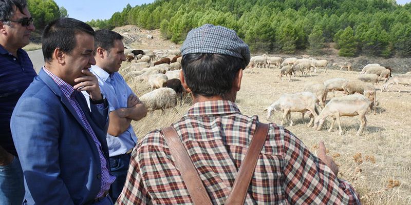 Este viernes se abonan cerca de 5 millones de euros en ayudas a agricultores y ganaderos, entre ellas, los más de 1,8 millones al pastoreo