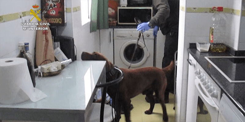 La Guardia Civil desarticula una organización criminal dedicada al tráfico de drogas muy activa que operaba en la comarca de Molina