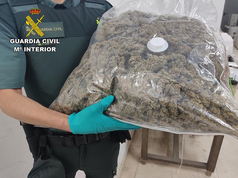 La Guardia Civil detiene una persona en Illana con más de 8 kilos de marihuana 3 La Guardia Civil detiene una persona en Illana con más de 8 kilos de marihuana