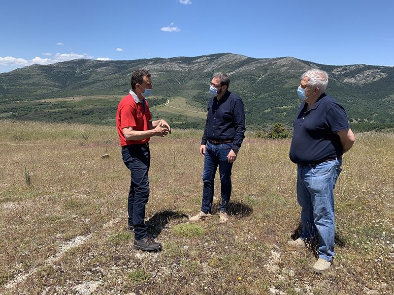Robles comprueba sobre el terreno los trabajos preventivos que Geacam realiza en las masas forestales de Guadalajara