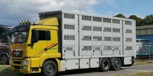 Sanidad vuelve a establecer los tiempos de descanso durante el transporte de animales tras el Covid-19