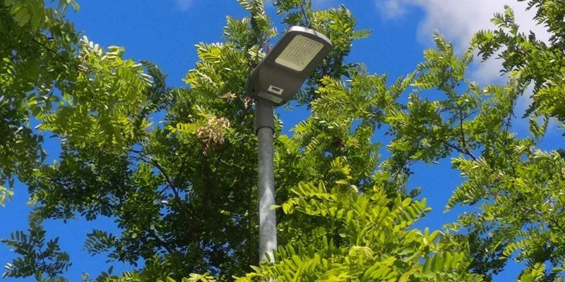 Sigüenza cuenta con 113 nuevas razones para ser más eficiente energéticamente