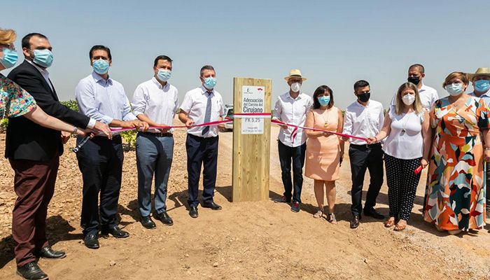 Castilla-La Mancha publica esta semana la orden que regula la entrada en bodega de uva con al menos 9 grados, a favor de la calidad de los vinos