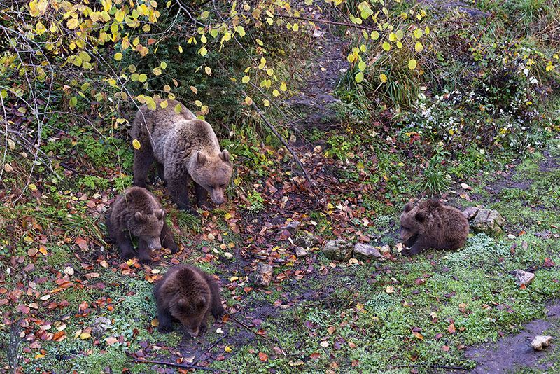 Castilla-La Mancha: la naturaleza cercana 3 El Hosquillo