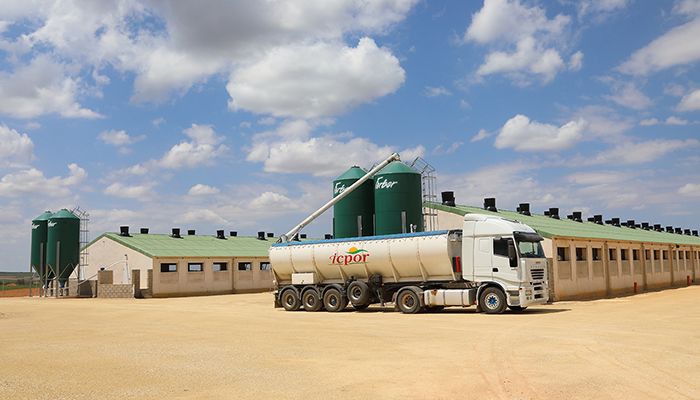 El modelo de ICPOR atrae a más de 15 nuevos granjeros en 2019