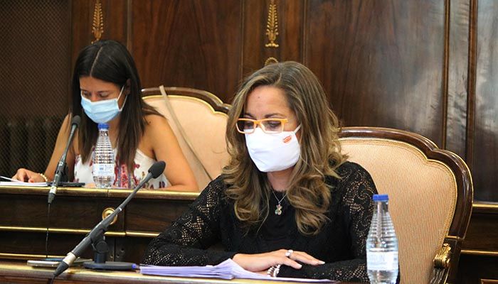 La Diputación de Guadalajara aprueba el convenio con la Junta para ayudas de emergencia social en la provincia