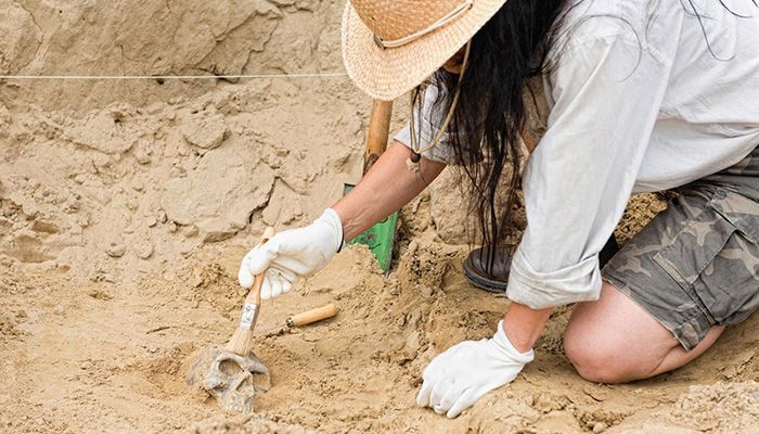 La Junta organiza diferentes actividades a lo largo de la semana para celebrar el Día de la Arqueología