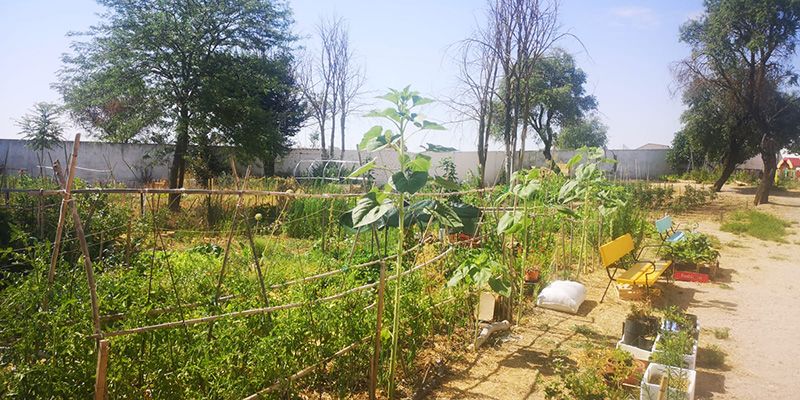 Los huertos urbanos de Tarancón inician nueva temporada en septiembre y abren inscripciones