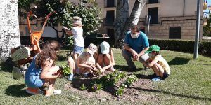 Los niños ayudan a adornar con flores las plazas de Huete