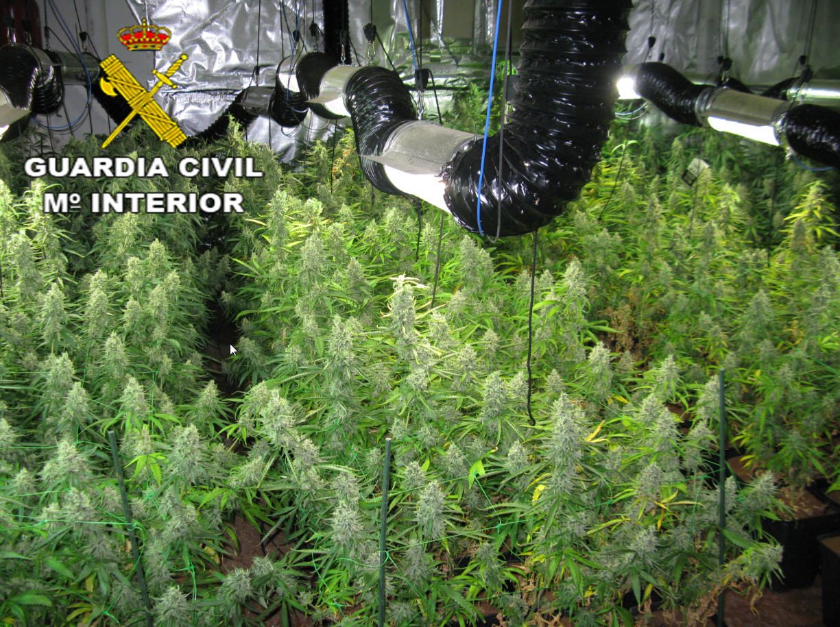 La Guardia Civil detiene a dos personas por cultivar marihuana en Azuqueca de Henares